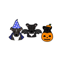 Load image into Gallery viewer, Mini Halloween Pet Portrait - Postcard Print