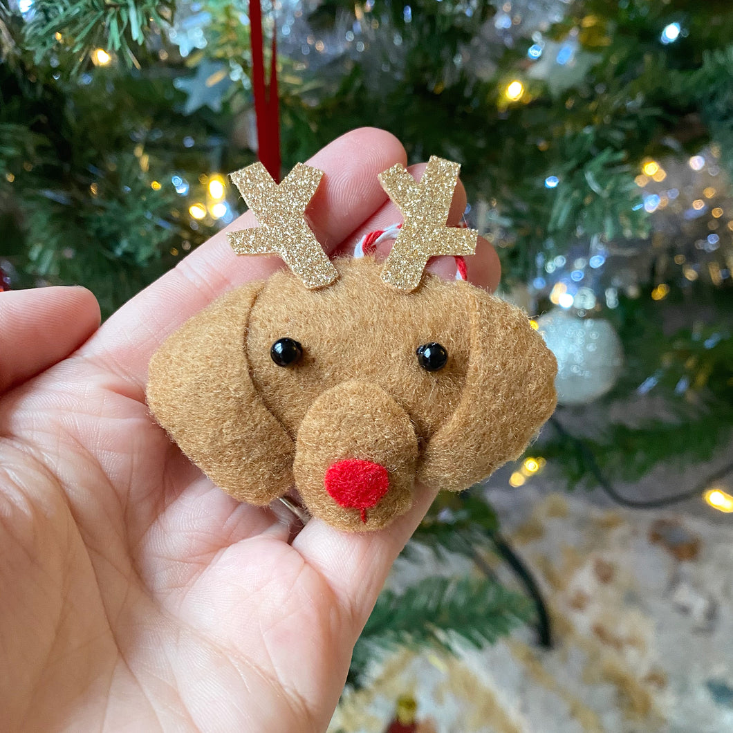 Reindeer Dog Christmas Cat Felt Festive Decoration