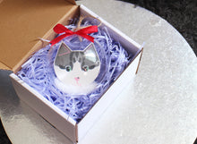 Load image into Gallery viewer, Personalised Pet Christmas Tree Bauble Ornament, Cat Lovers, Dog Lovers, Pet Lovers Gift
